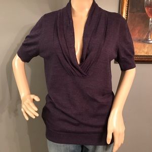 The Limited Purple short sleeve sweater